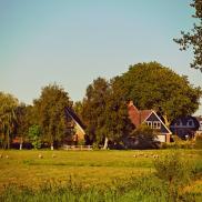 Земельный участок в Сегеже для молочной фермы